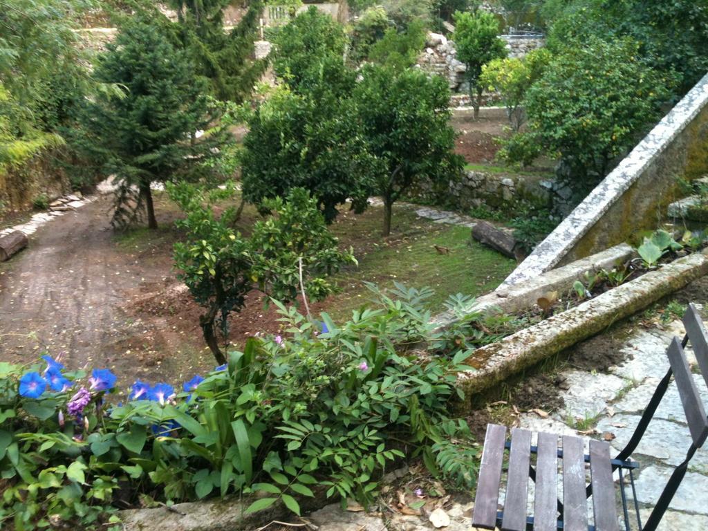Quinta Do Castanheiro 호텔 신트라 외부 사진